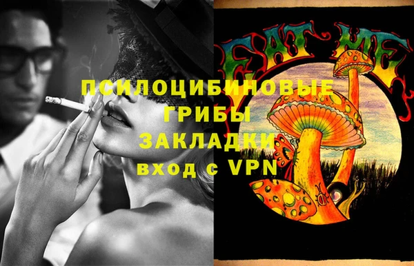 прущий лед Белокуриха