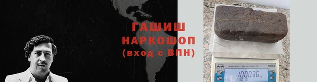 стаф Балахна