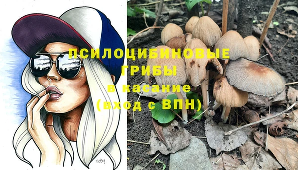 стаф Балахна